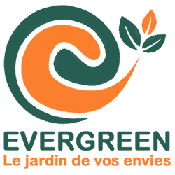 Evergreen Nord